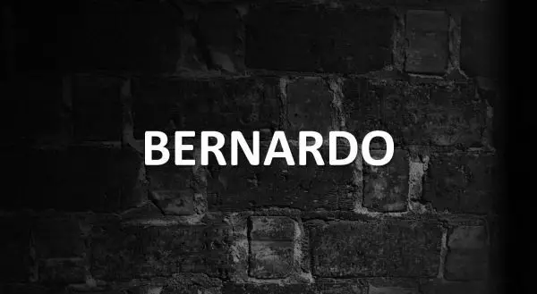 Significado de Bernardo