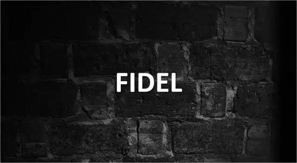 Significado de Fidel