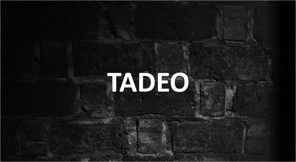 Significado de Tadeo, personalidad y origen