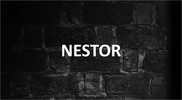 Significado de Nestor