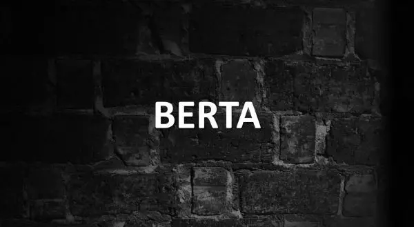 significado de BERTA