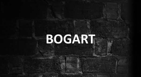 significado de BOGART