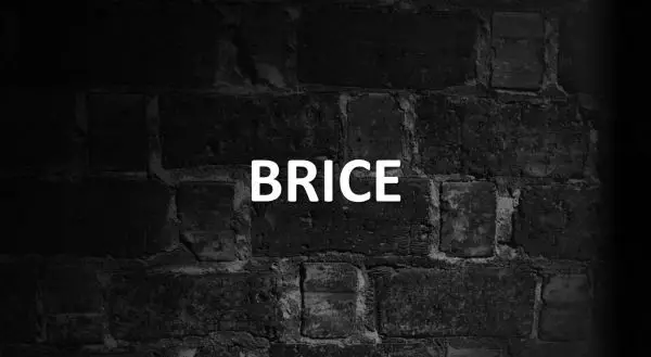 significado de BRICE