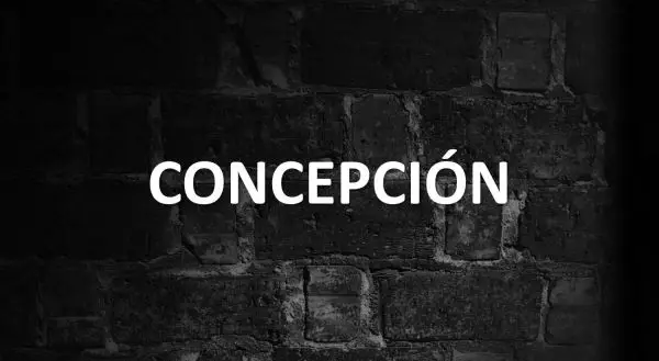 significado de Concepción