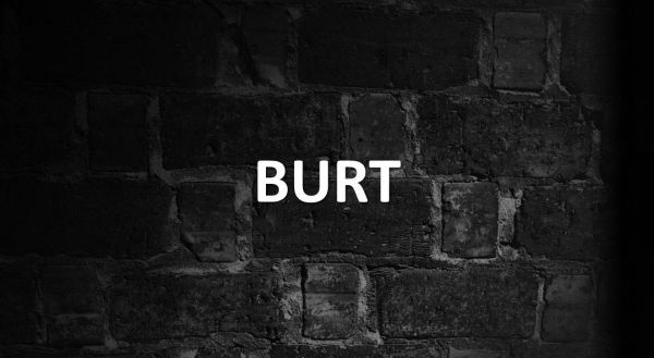 significado de burt
