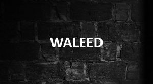 Significado de Waleed