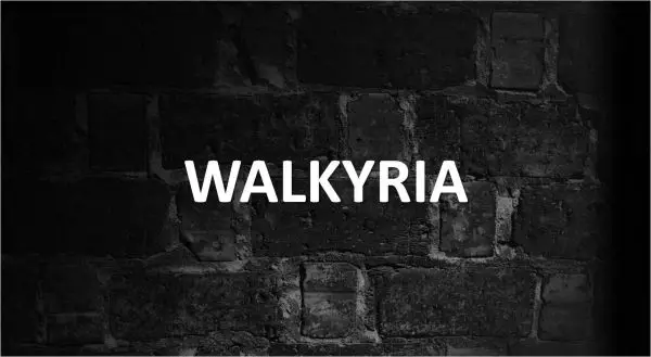 Significado de Walkyria