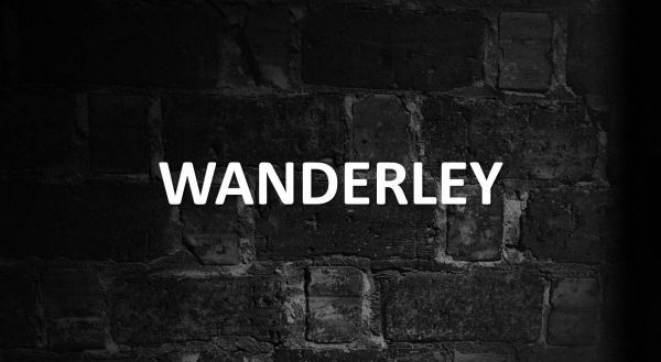 Significado de Wanderley