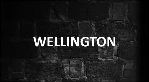 Significado de Wellington