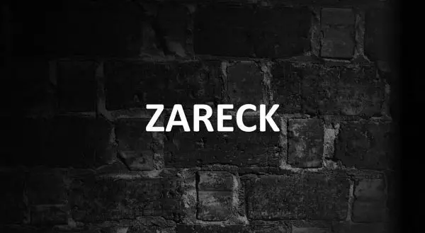 Significado de Zareck