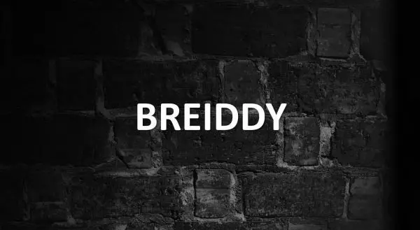 Significado de Breiddy