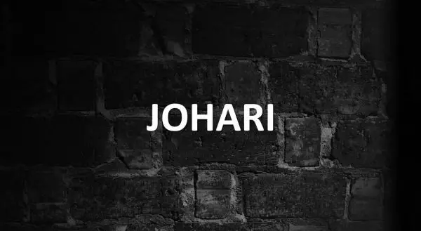 Significado de Johari