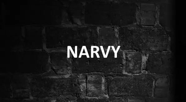 Significado de Narvy
