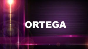Significado del apellido Ortega
