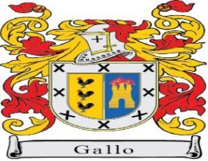 Significado del escudo del apellido Gallo