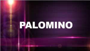 Significado del apellido Palomino