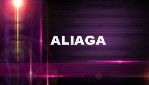 Significado del apellido Aliaga
