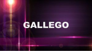 Significado del apellido Gallego